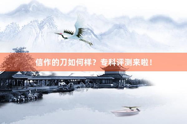 信作的刀如何样？专科评测来啦！