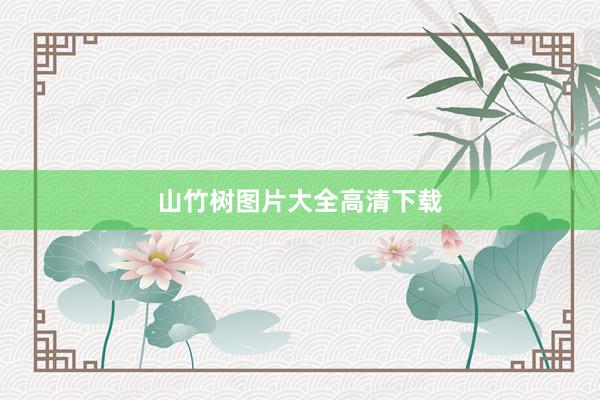 山竹树图片大全高清下载